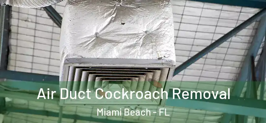 Air Duct Cockroach Removal Miami Beach - FL