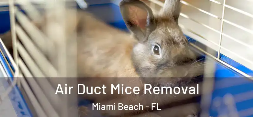 Air Duct Mice Removal Miami Beach - FL