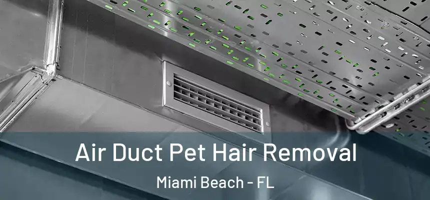 Air Duct Pet Hair Removal Miami Beach - FL