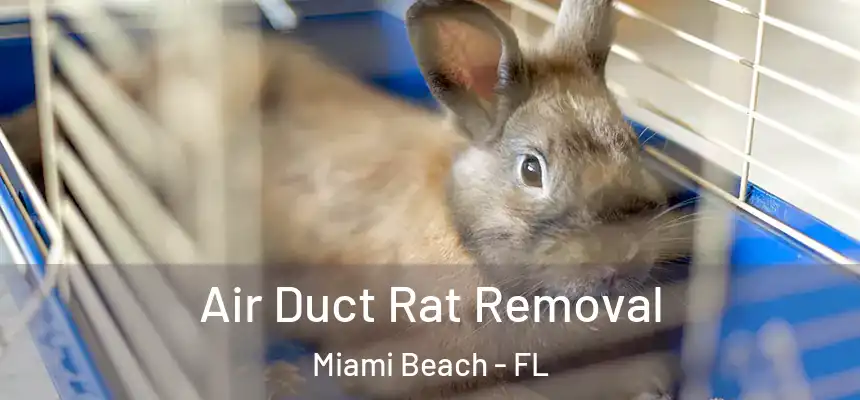 Air Duct Rat Removal Miami Beach - FL