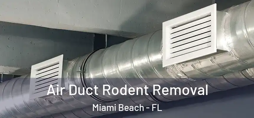 Air Duct Rodent Removal Miami Beach - FL