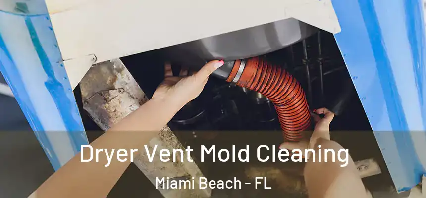Dryer Vent Mold Cleaning Miami Beach - FL