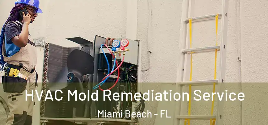 HVAC Mold Remediation Service Miami Beach - FL