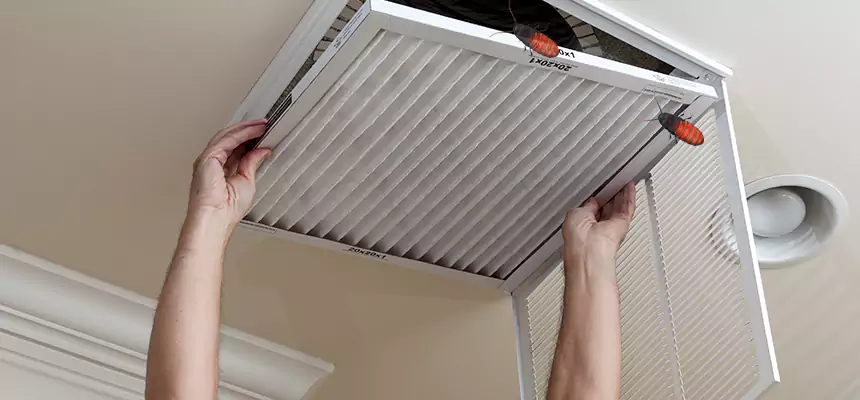 Preventive Cockroach-Proofing for Ducts in Miami Beach