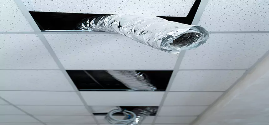 Affordable HVAC Sanitizing After Pest Removal in Miami Beach