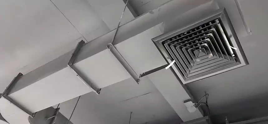 Restorative Allergy Relief Vent Cleaning – Coil, Blower & Housing Detail in Miami Beach