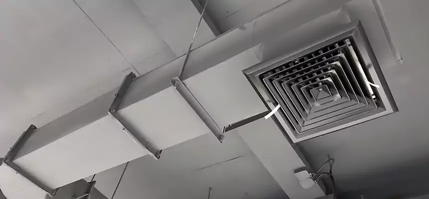 Our Pest Removal From Ducts Services in Miami Beach, FL