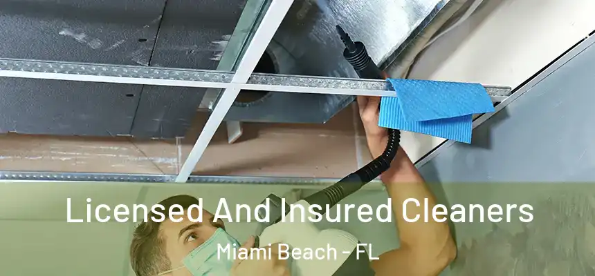 Licensed And Insured Cleaners Miami Beach - FL