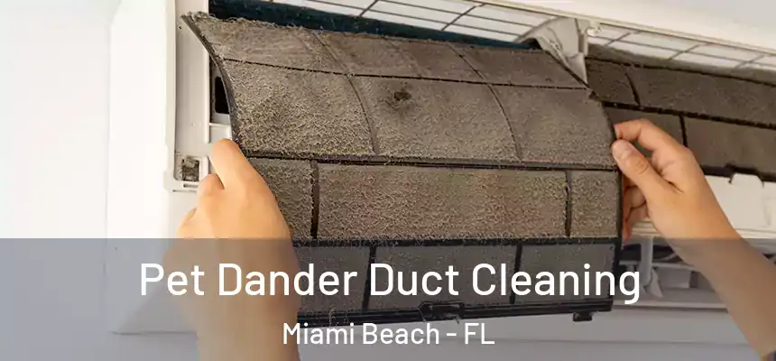 Pet Dander Duct Cleaning Miami Beach - FL
