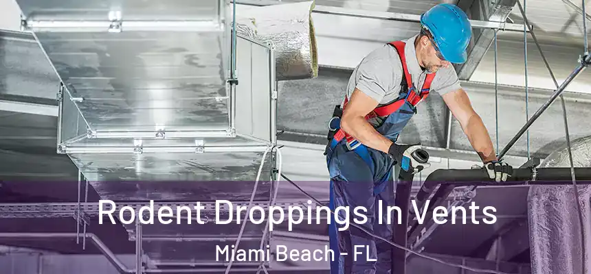 Rodent Droppings In Vents Miami Beach - FL