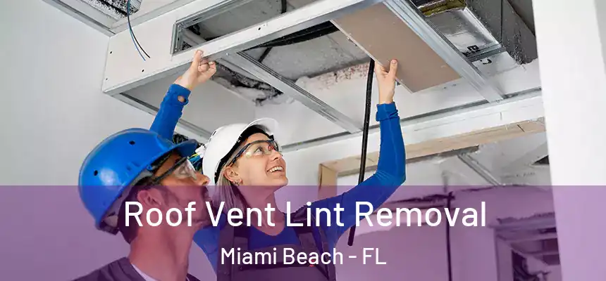 Roof Vent Lint Removal Miami Beach - FL