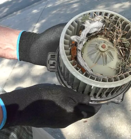 About Air Duct Rat Removal in Miami Beach, FL