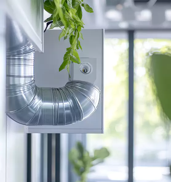 Professional Eco-Friendly Duct Cleaning Services in Miami Beach, FL