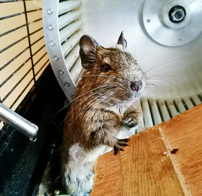 Why Homeowners & Businesses Trust Us Miami Beach, FL?