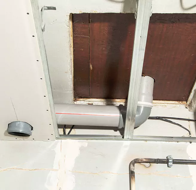 Why Homeowners & Businesses Trust Us in Miami Beach, FL?