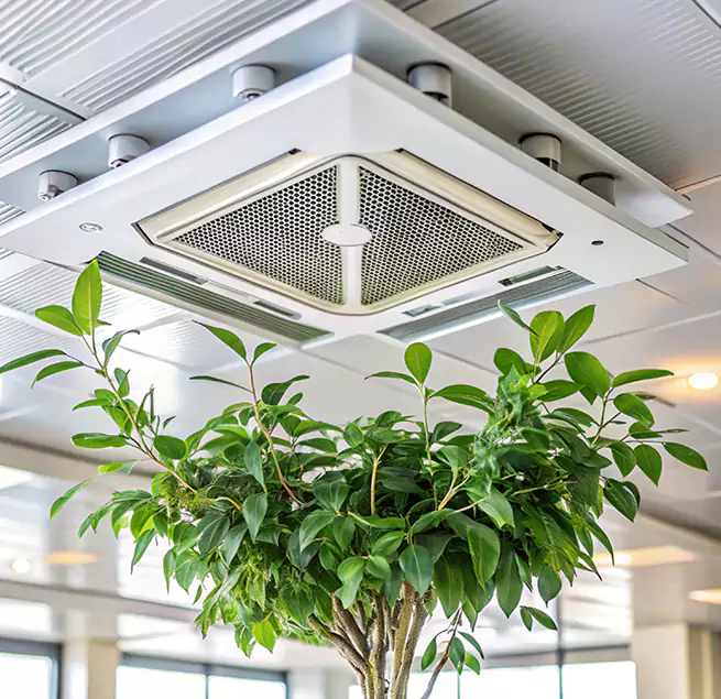 Why Homeowners & Businesses Trust Us in Miami Beach, FL?