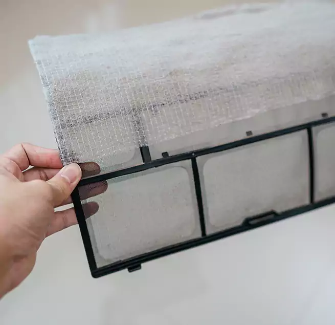 Why Homeowners & Businesses Trust Us in Miami Beach, FL?