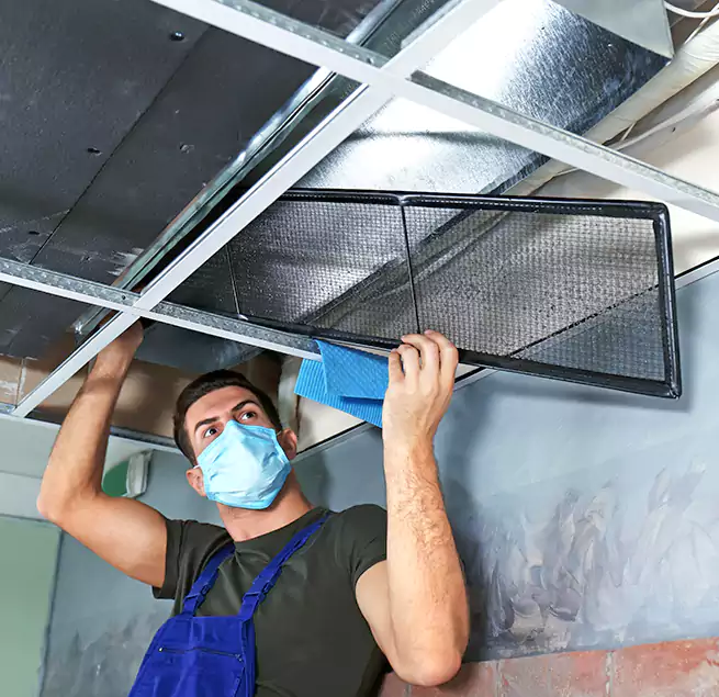 Why Homeowners Businesses Trust Us in Miami Beach, FL